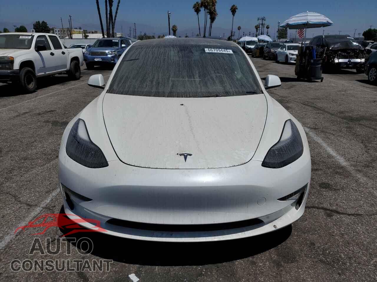 TESLA MODEL 3 2023 - 5YJ3E1EA2PF506446