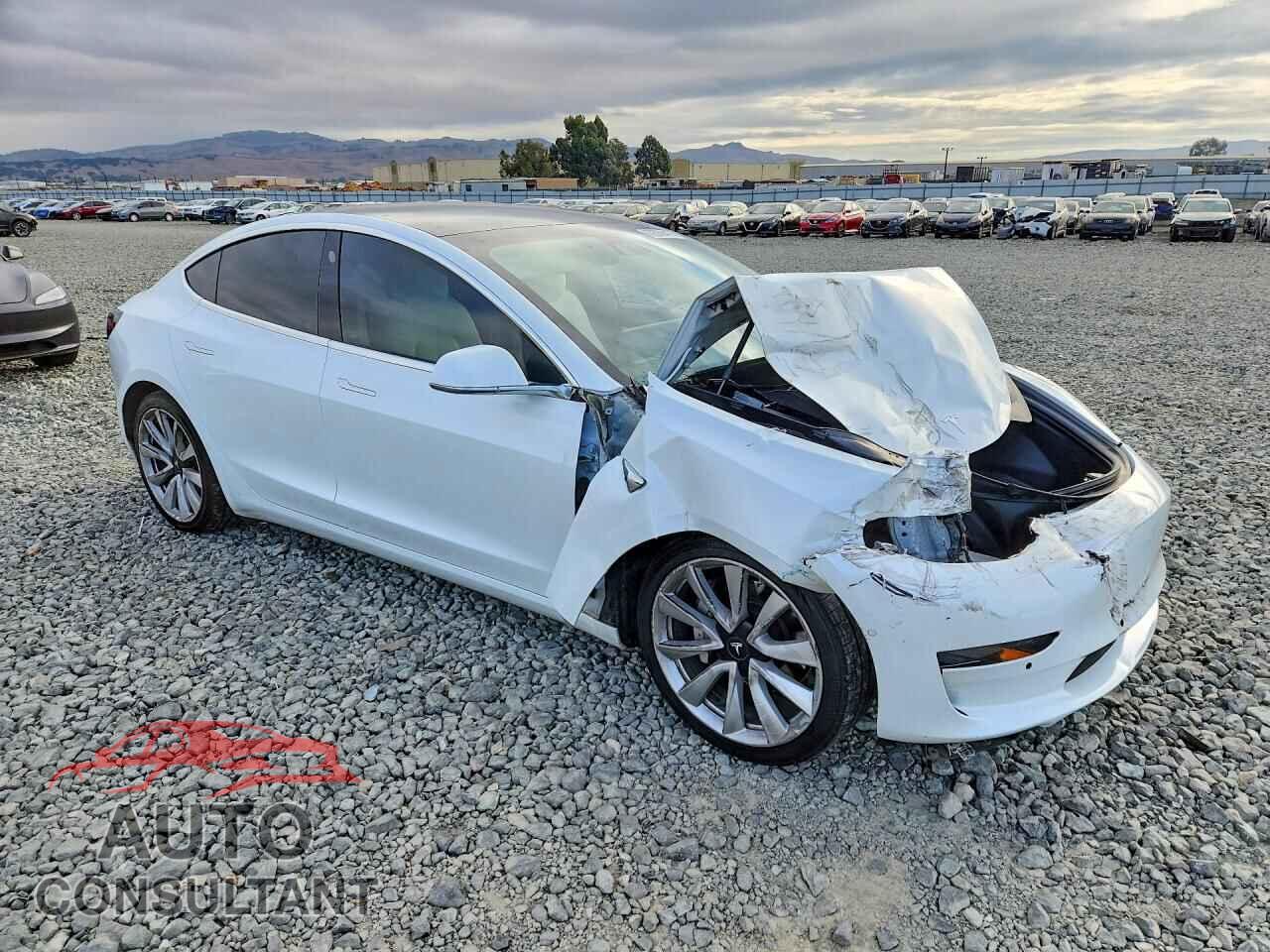 TESLA MODEL 3 2019 - 5YJ3E1EB2KF494820