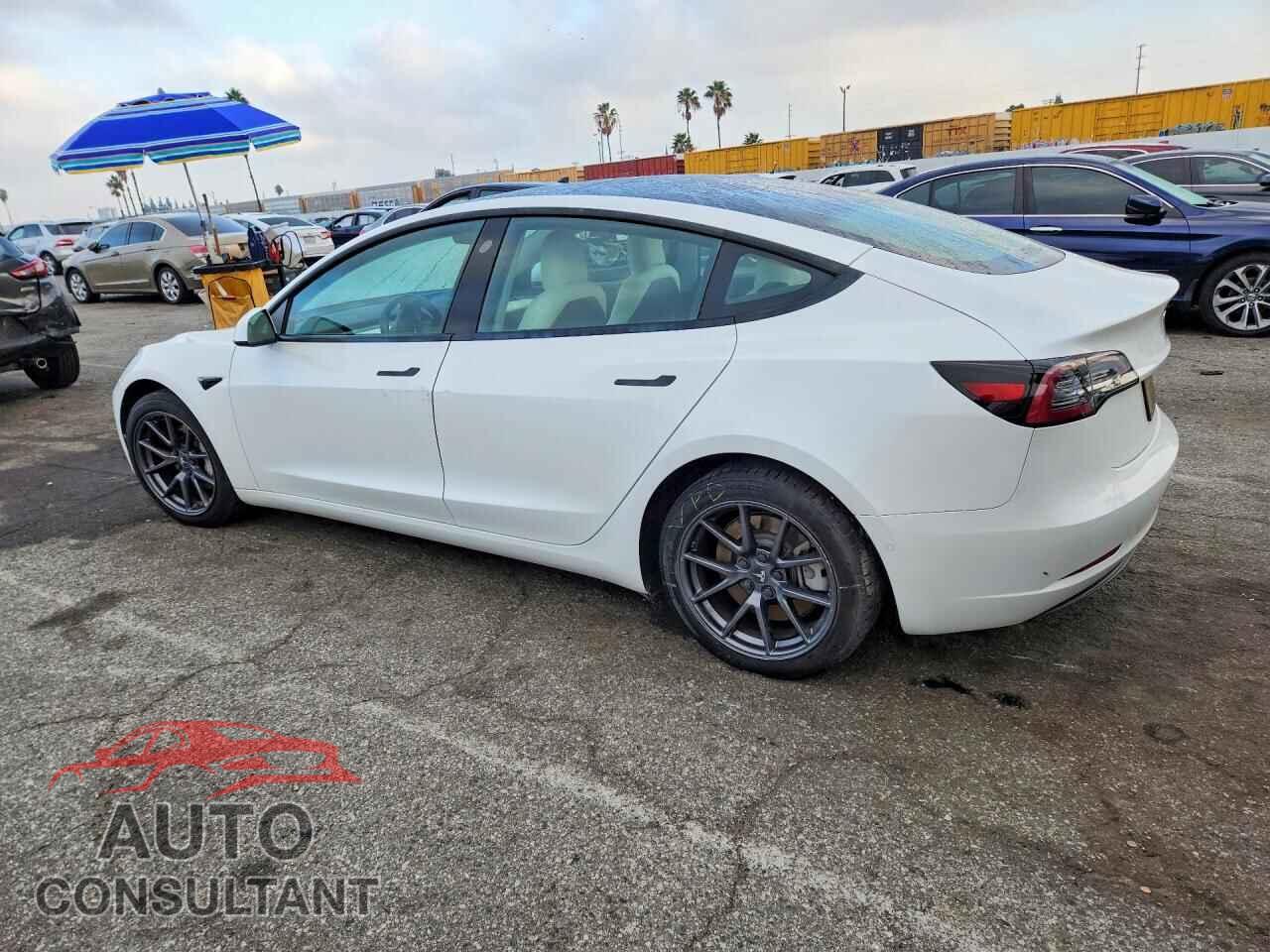 TESLA MODEL 3 2021 - 5YJ3E1EA8MF028836