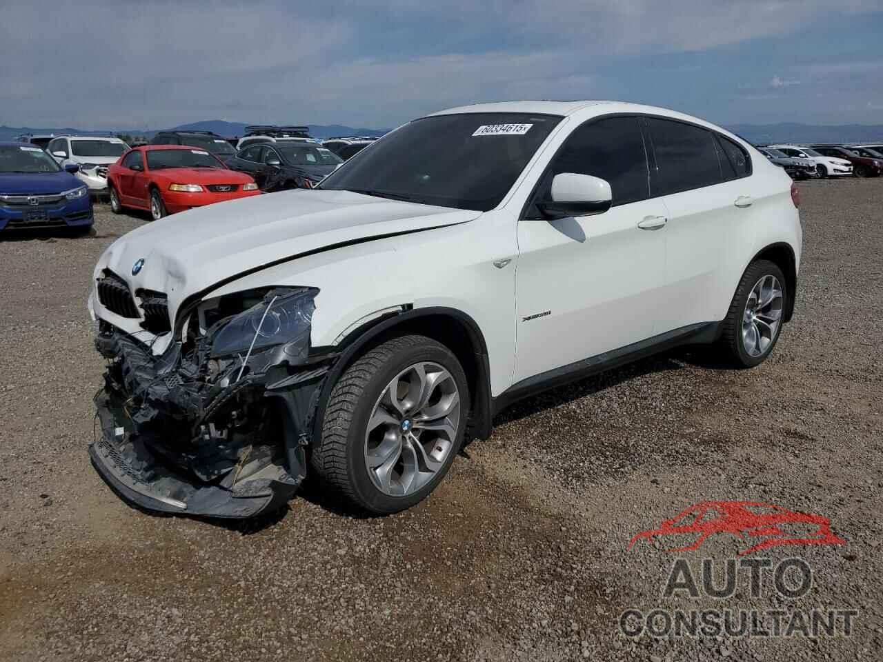 BMW X6 2013 - 5UXFG2C52DL783317