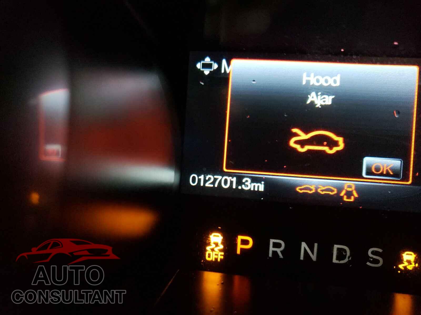 FORD MUSTANG 2019 - 1FA6P8TH3K5203448