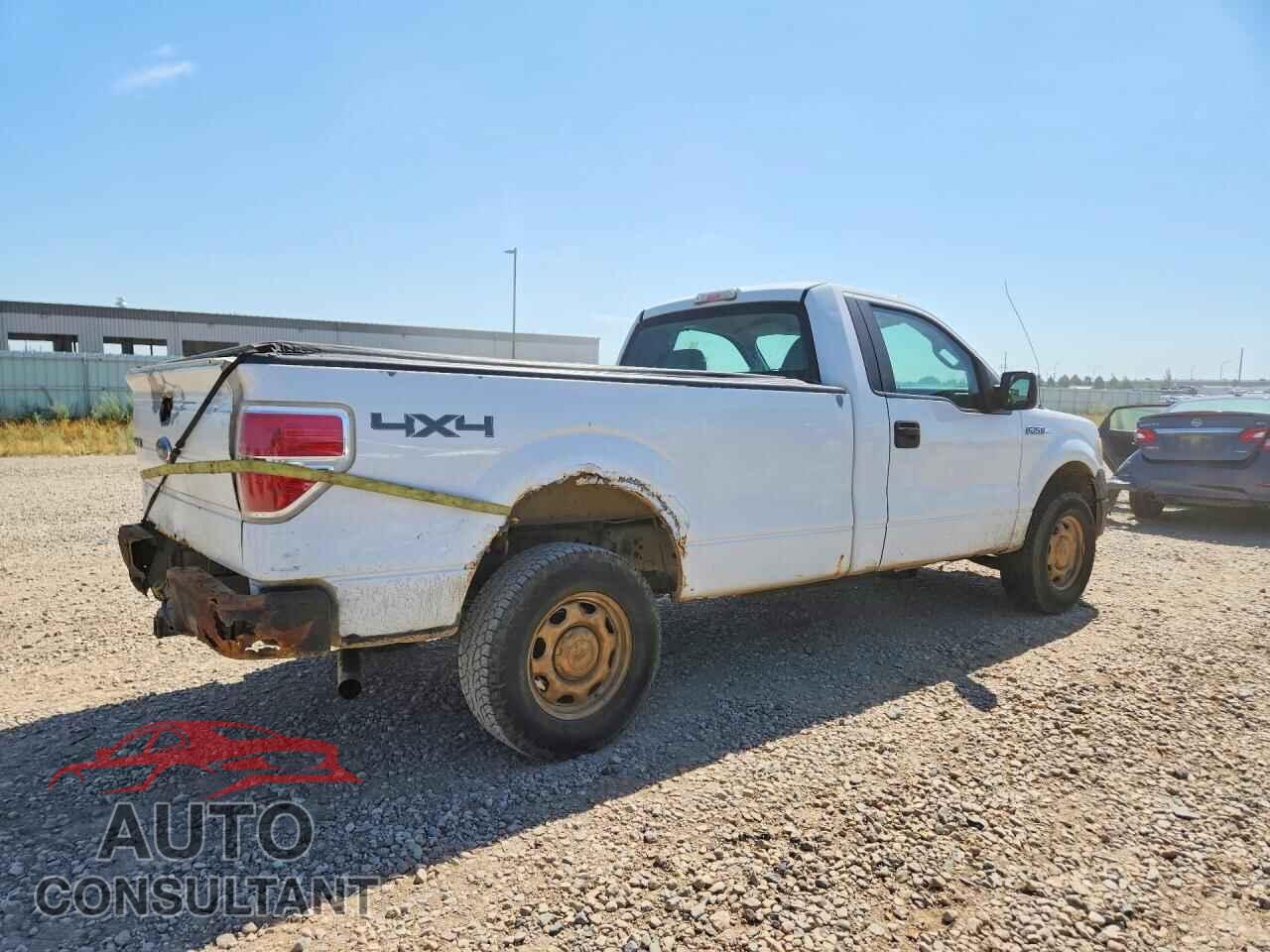 FORD F150 2010 - 1FTMF1EW4AKA89936