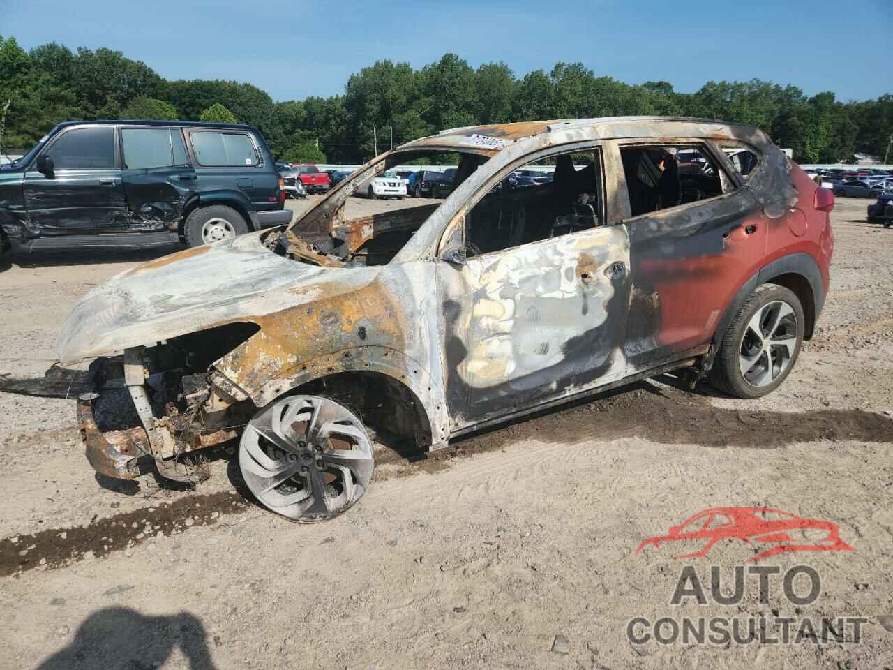 HYUNDAI TUCSON 2016 - KM8J33A21GU200638