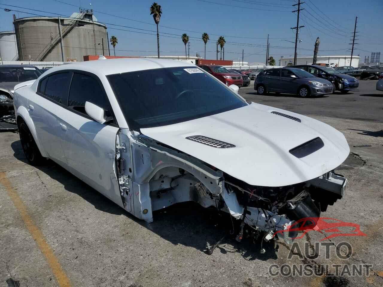 DODGE CHARGER 2021 - 2C3CDXL91MH668058