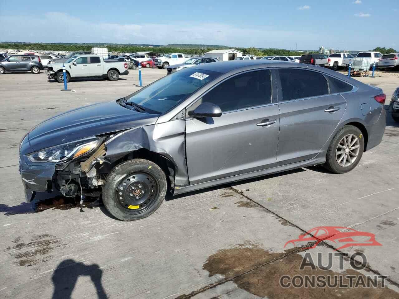 HYUNDAI SONATA 2019 - 5NPE24AF4KH784926