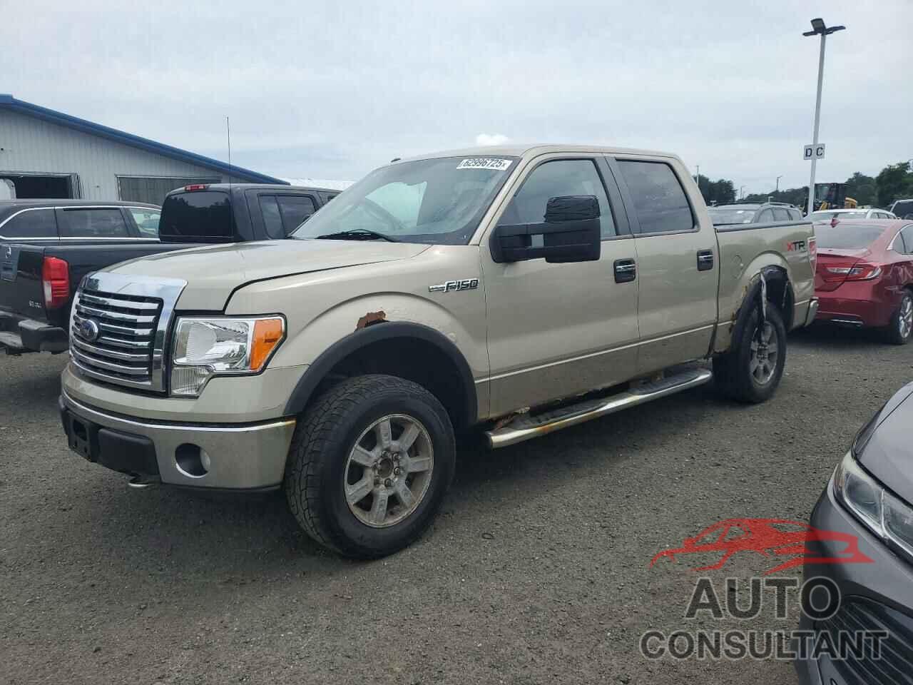 FORD F-150 2010 - 1FTEW1E88AFD58115