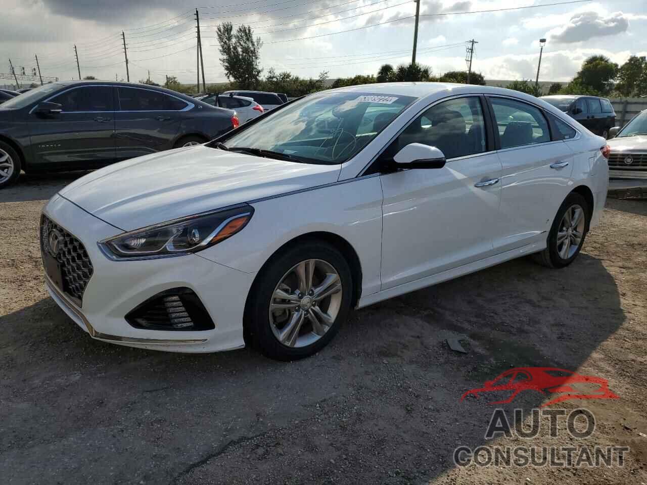 HYUNDAI SONATA 2019 - 5NPE34AF4KH776239