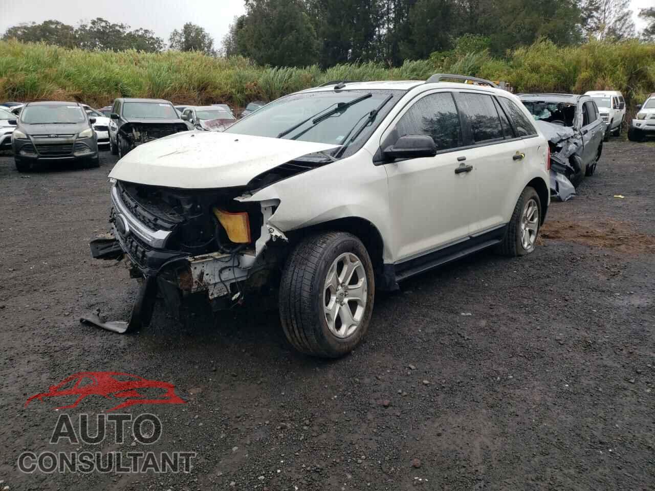 FORD EDGE 2013 - 2FMDK3G91DBB22335