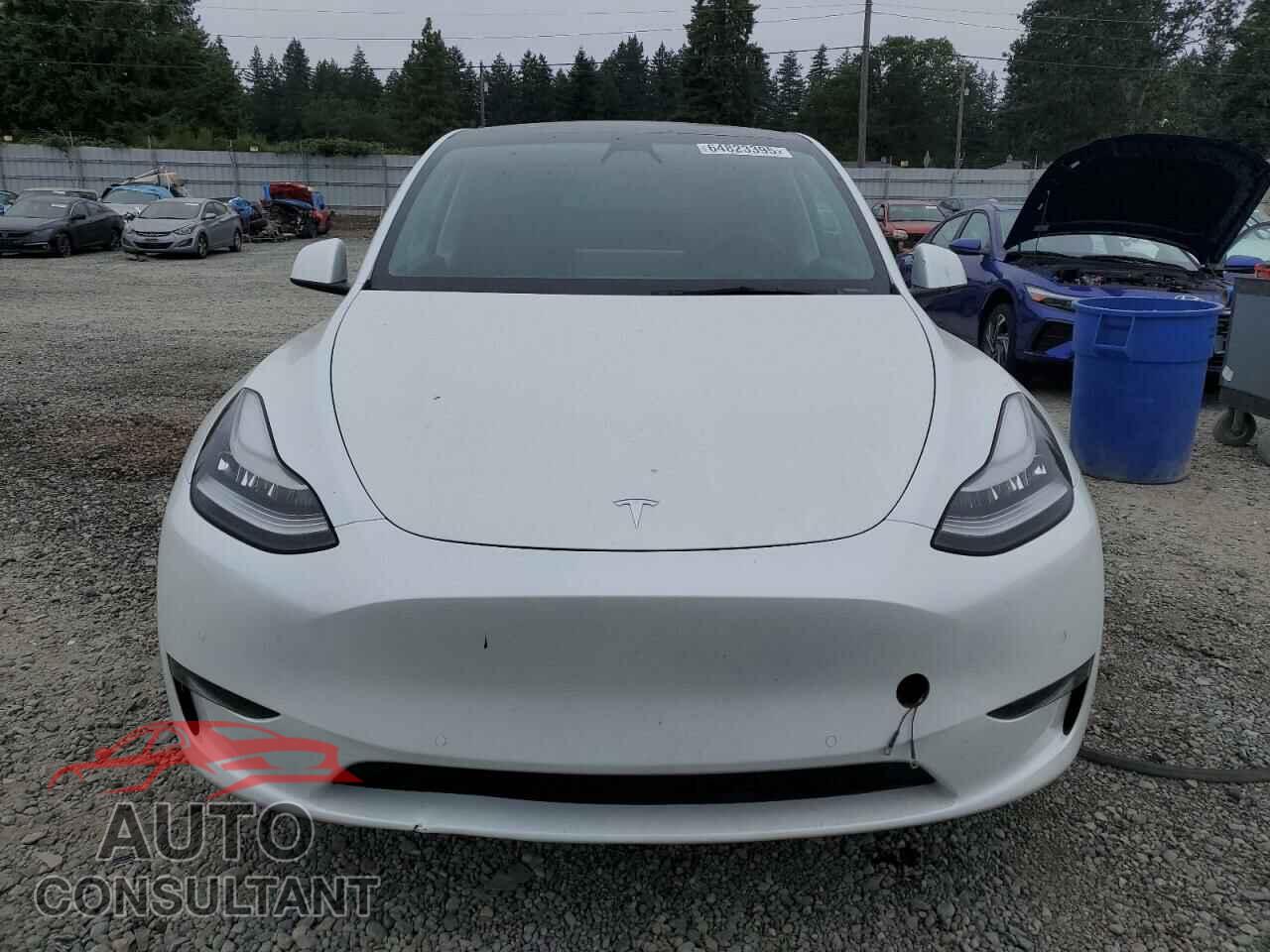 TESLA MODEL Y 2021 - 5YJYGDEE8MF106911