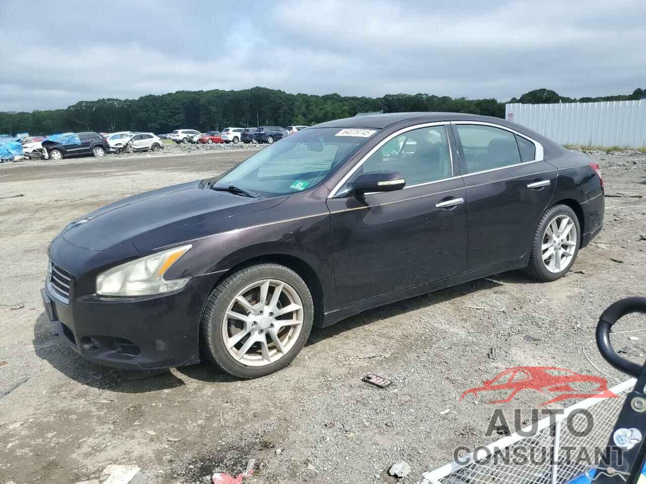 NISSAN MAXIMA 2010 - 1N4AA5AP7AC866374