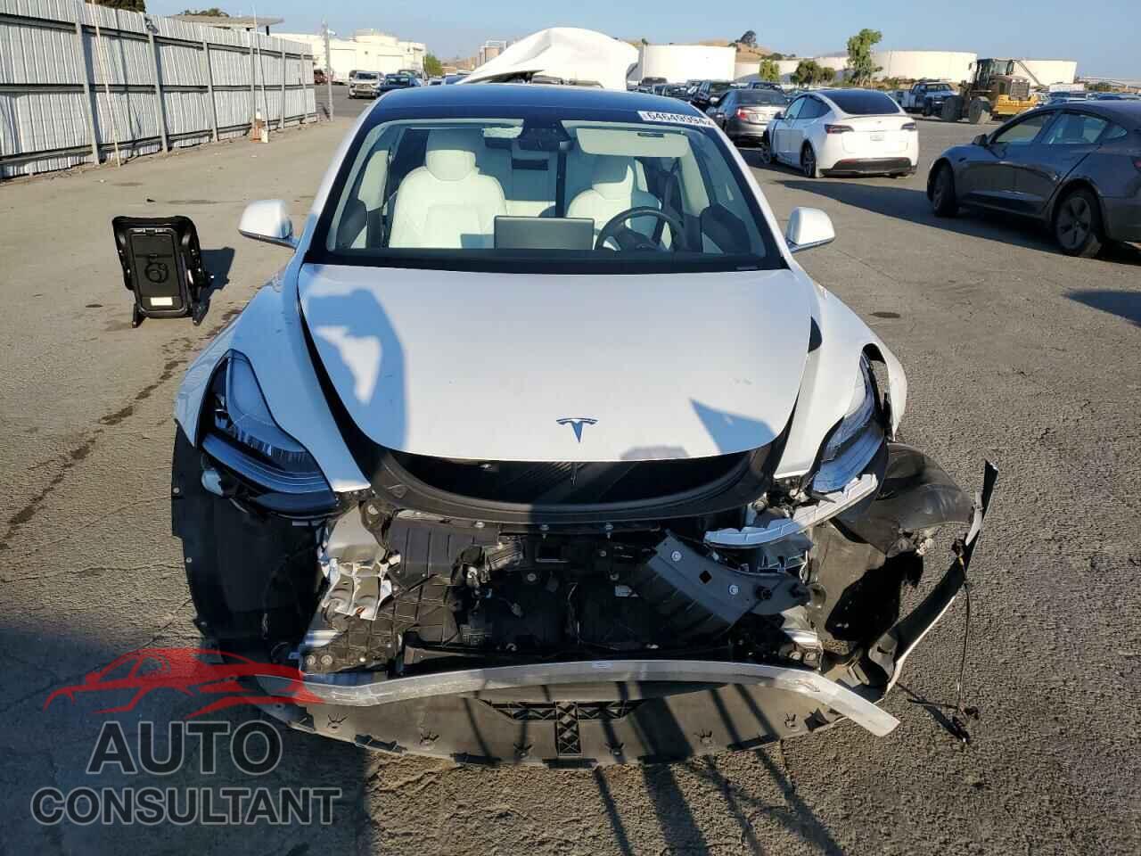 TESLA MODEL 3 2019 - 5YJ3E1EA7KF509447