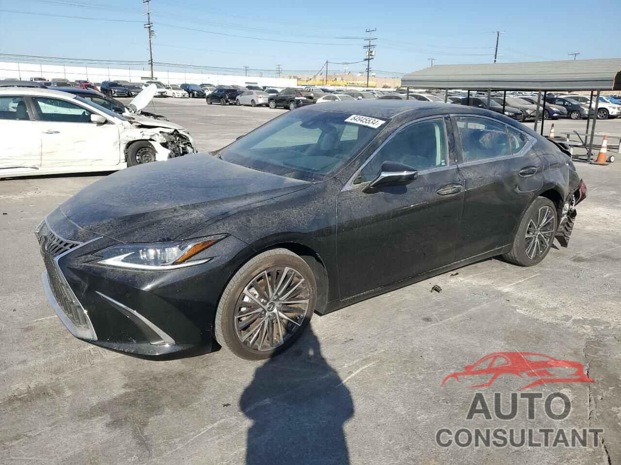 LEXUS ES300 2024 - 58ADA1C13RU047266