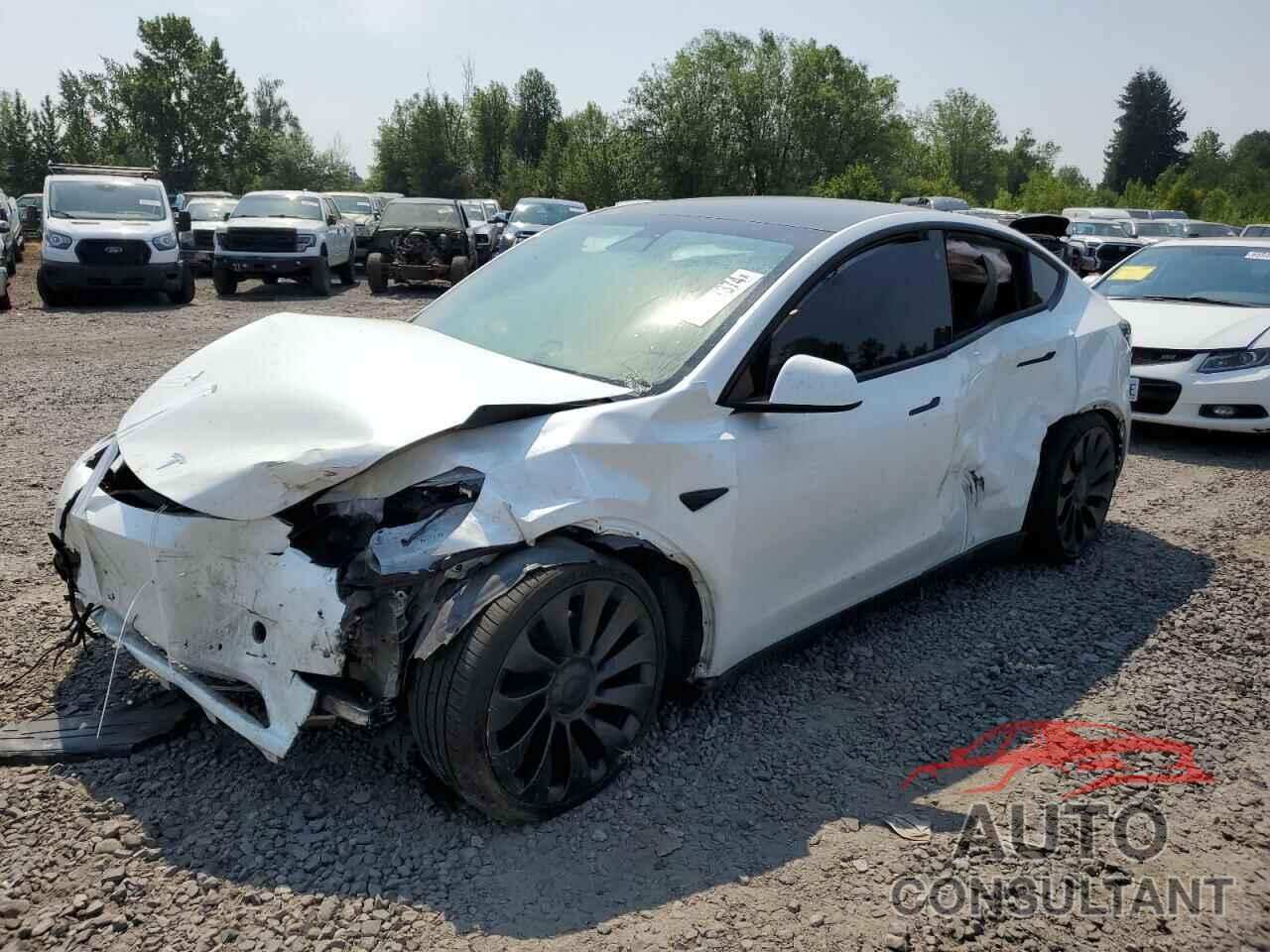 TESLA MODEL Y 2022 - 7SAYGDEF3NF557046