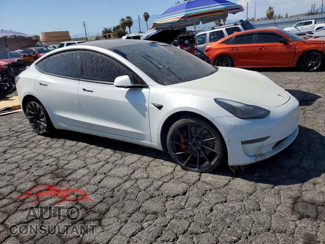 TESLA MODEL 3 2021 - 5YJ3E1ECXMF072225
