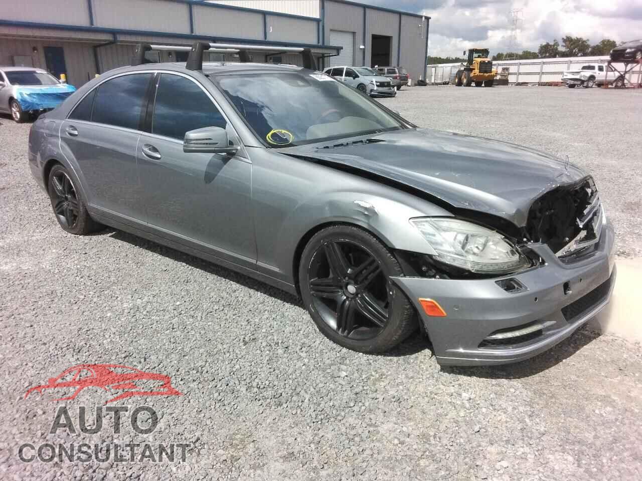 MERCEDES-BENZ S-CLASS 2010 - WDDNG9FB7AA346448