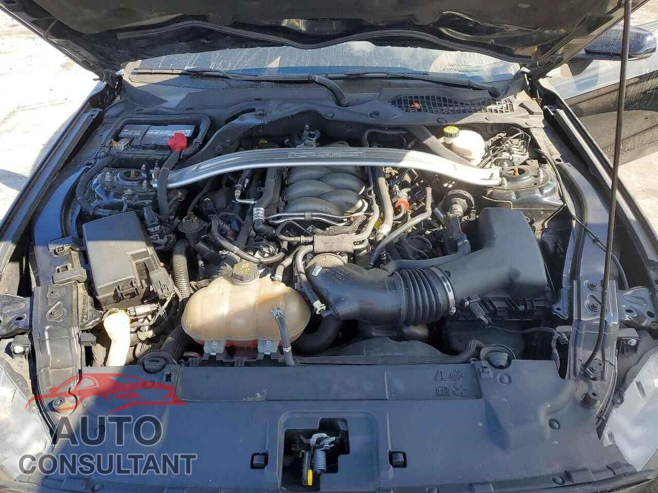 FORD MUSTANG 2019 - 1FA6P8CF2K5161353