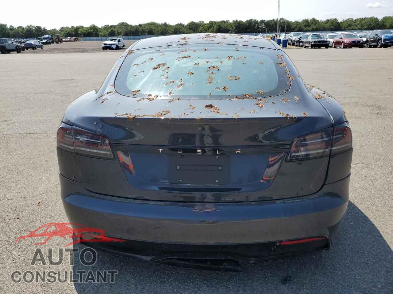 TESLA MODEL S 2024 - 5YJSA1E59RF537173