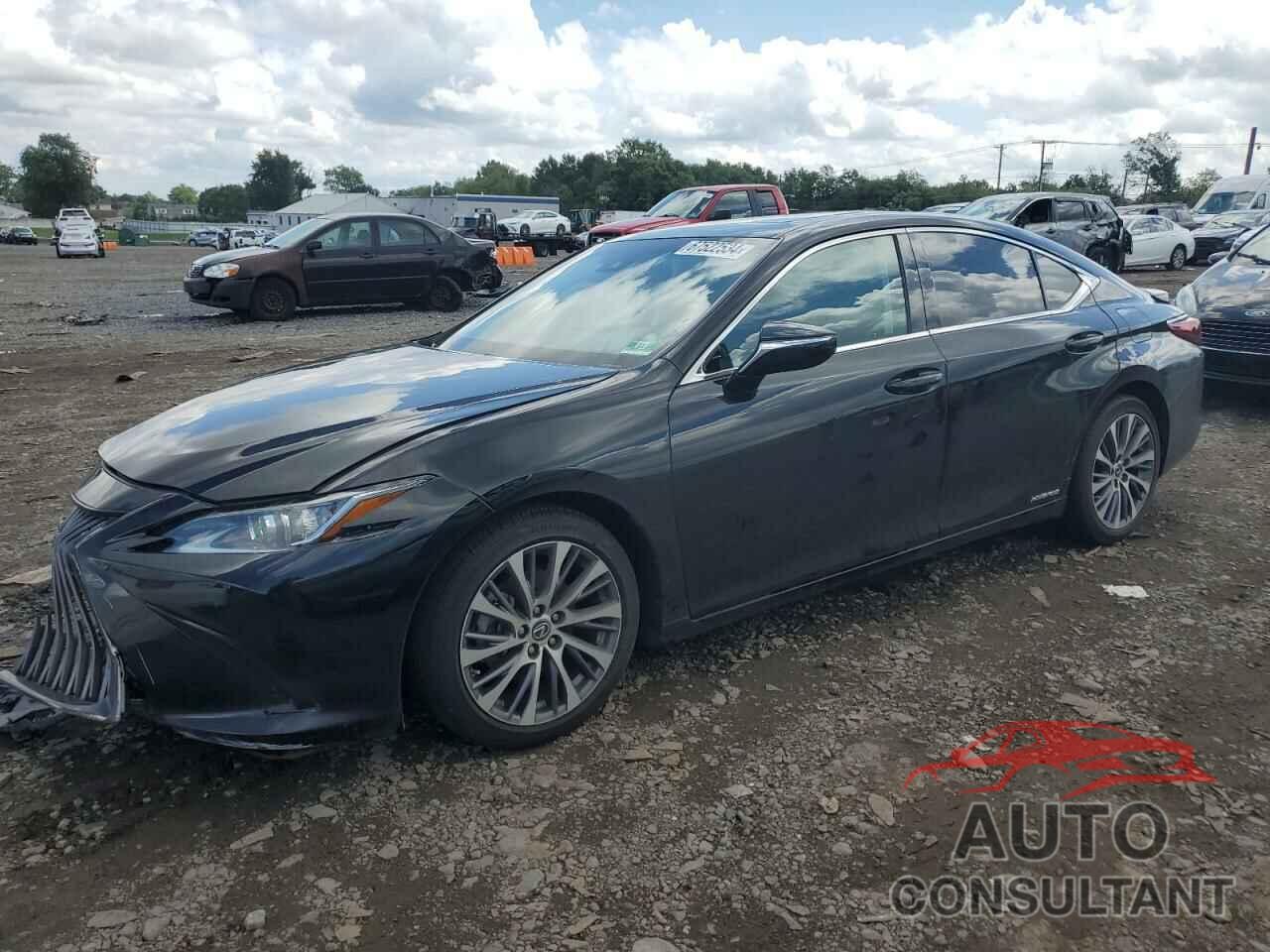 LEXUS ES300 2019 - 58AB21B18KU001072