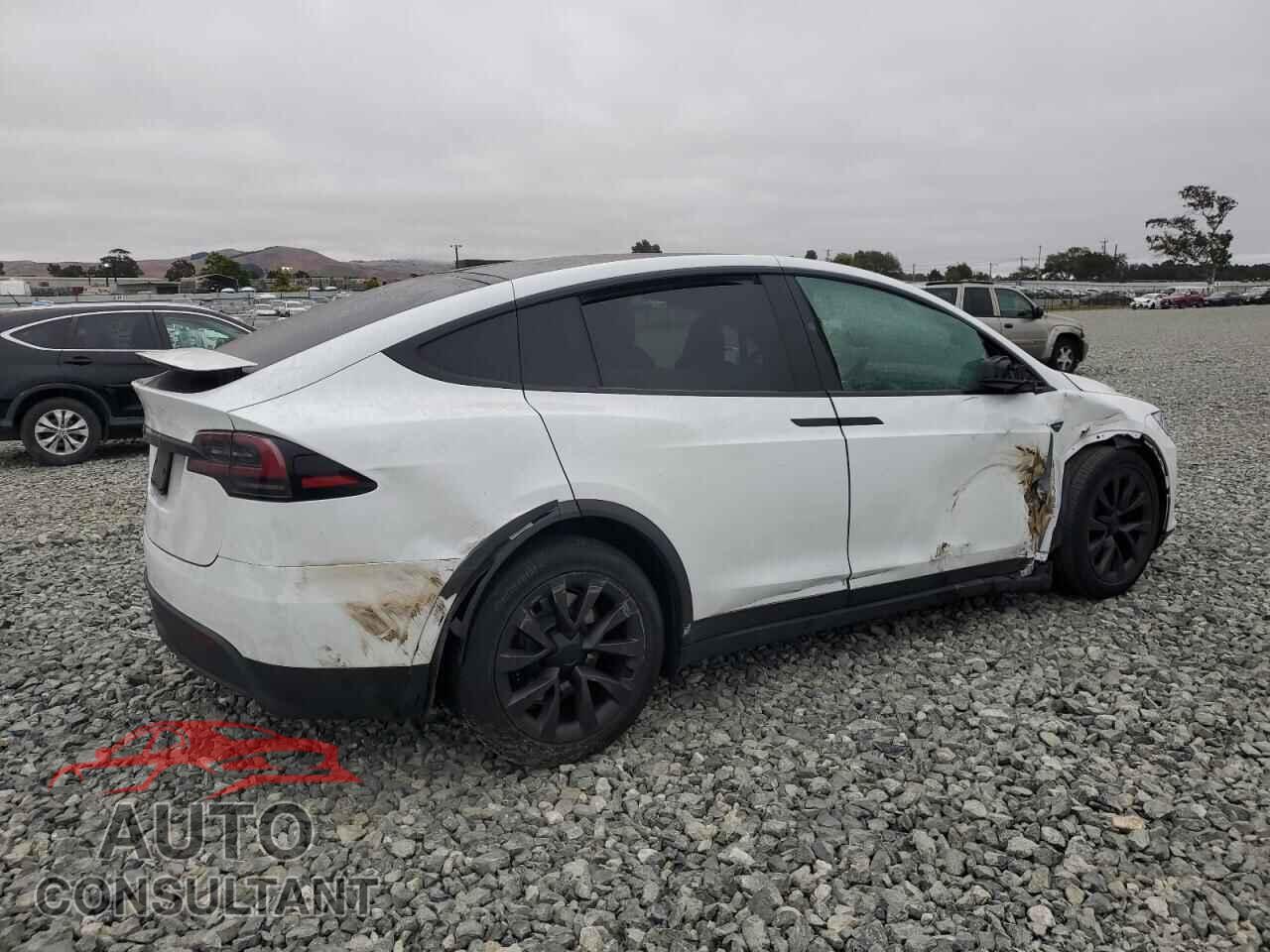 TESLA MODEL X 2024 - 7SAXCDE52RF445911