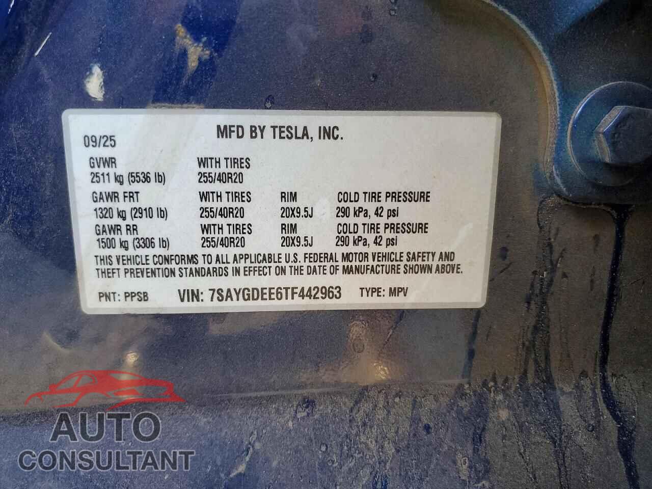 TESLA MODEL Y 2026 - 7SAYGDEE6TF442963