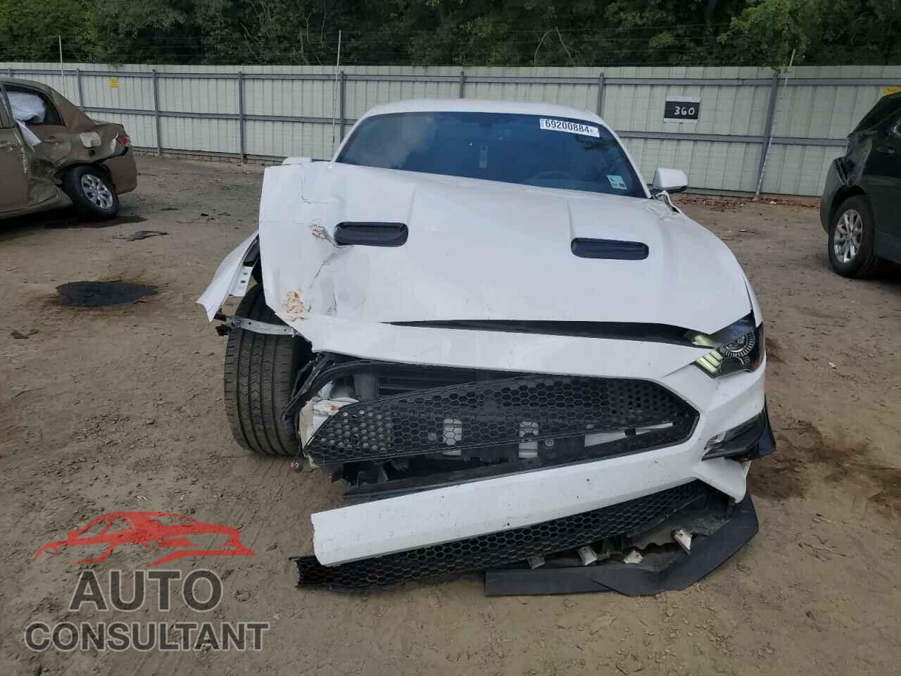 FORD MUSTANG 2019 - 1FA6P8CF2K5141801