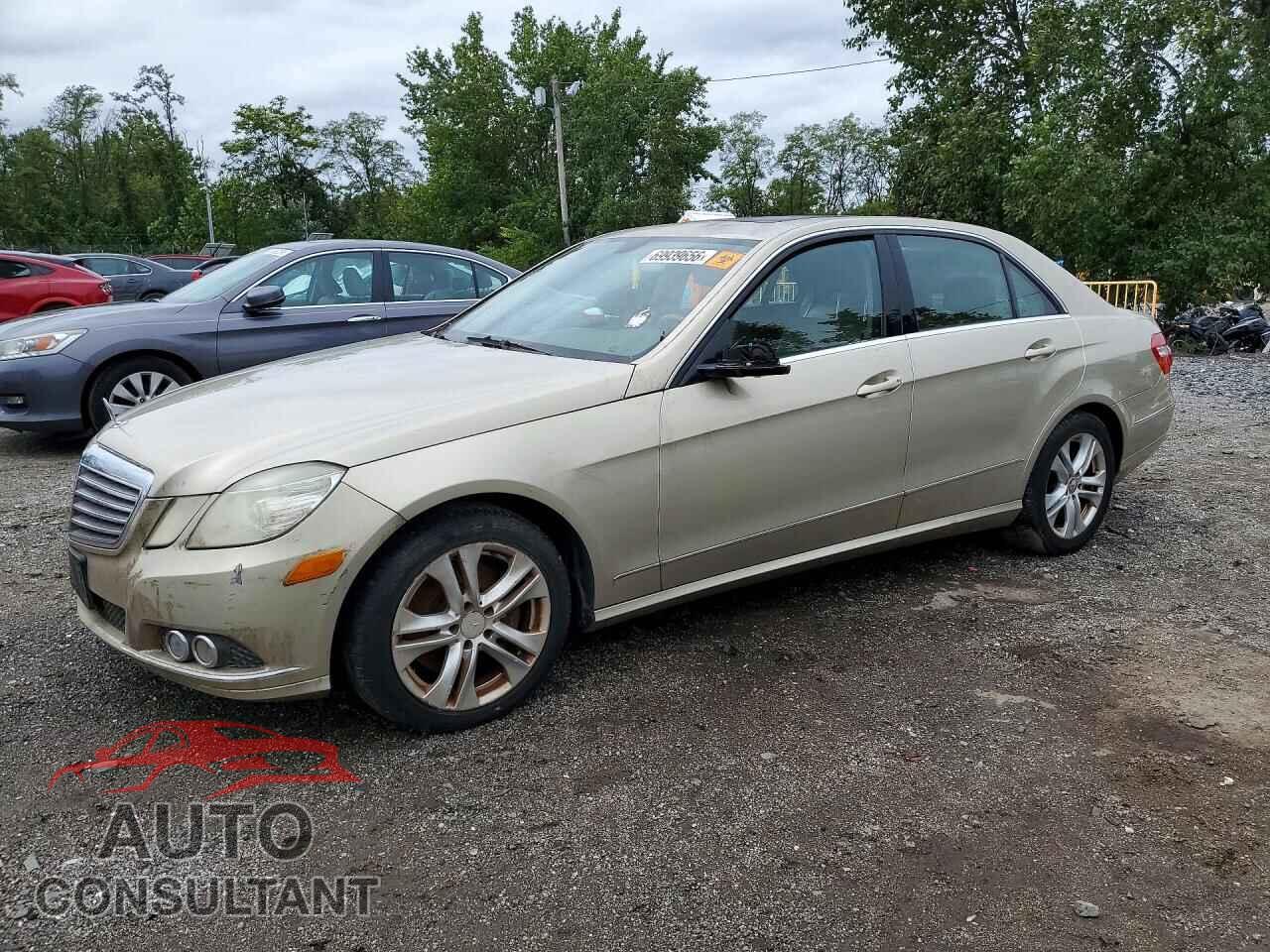MERCEDES-BENZ E-CLASS 2010 - WDDHF8HBXAA155405