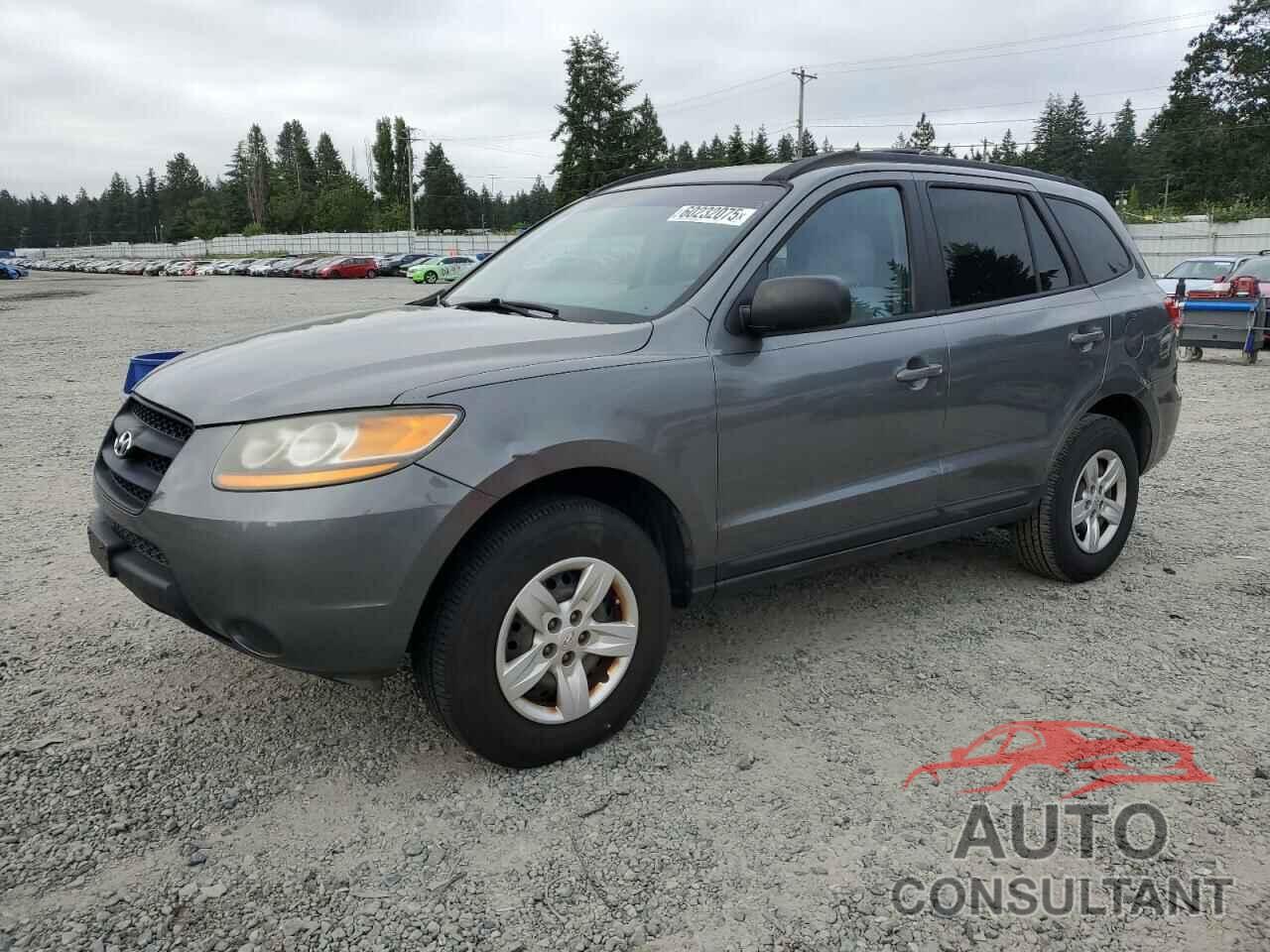 HYUNDAI SANTA FE 2009 - 5NMSG13DX9H251596