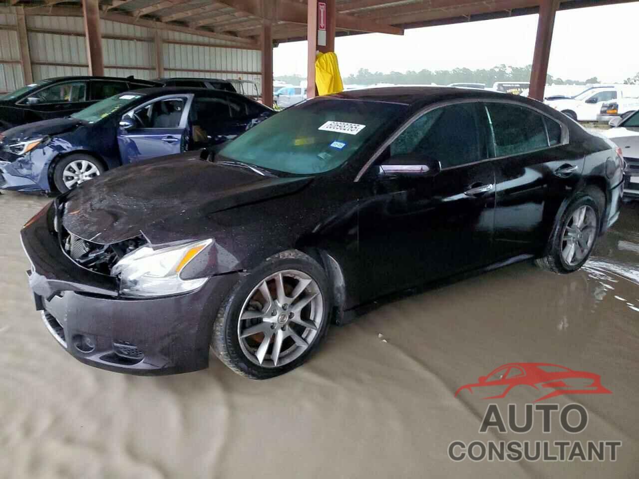 NISSAN MAXIMA 2010 - 1N4AA5AP8AC841306