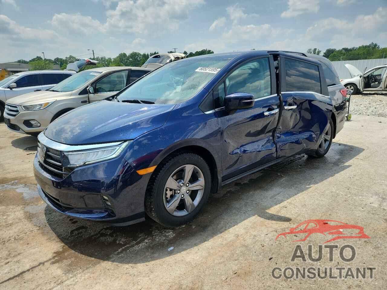 HONDA All Models 2022 - 5FNRL6H5XNB009976