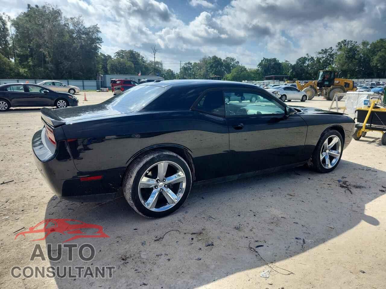 DODGE CHALLENGER 2014 - 2C3CDYBT9EH196390