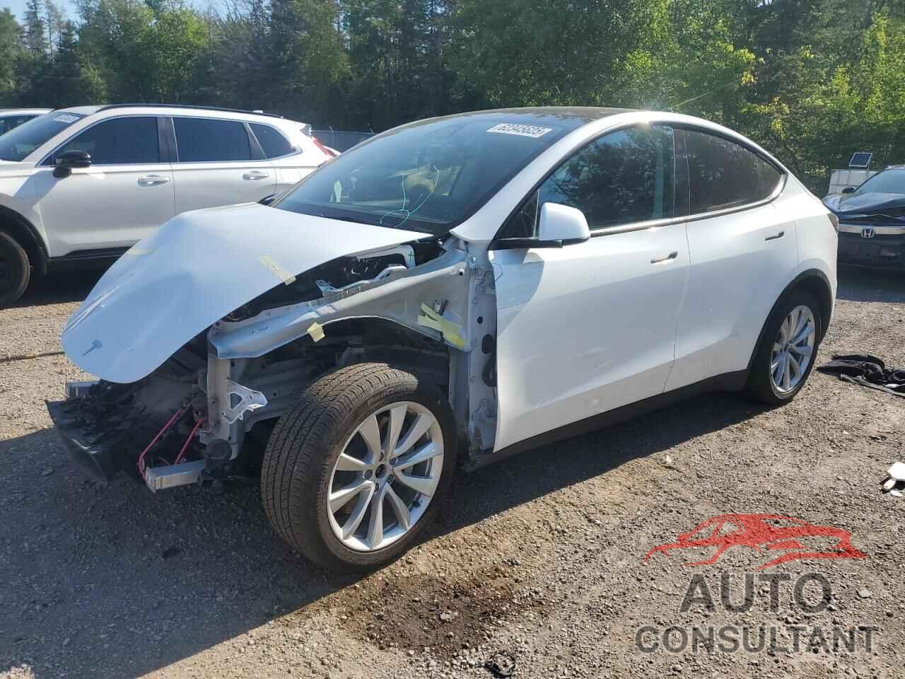 TESLA MODEL Y 2021 - 5YJYGDEE1MF175343