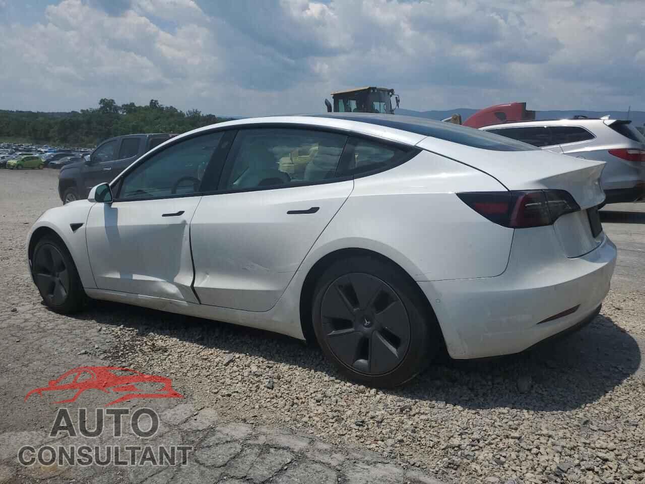 TESLA MODEL 3 2021 - 5YJ3E1EA2MF096033