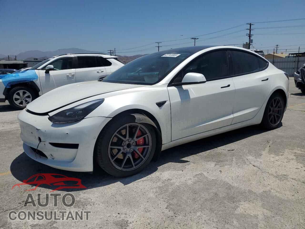 TESLA MODEL 3 2021 - 5YJ3E1EA8MF087806
