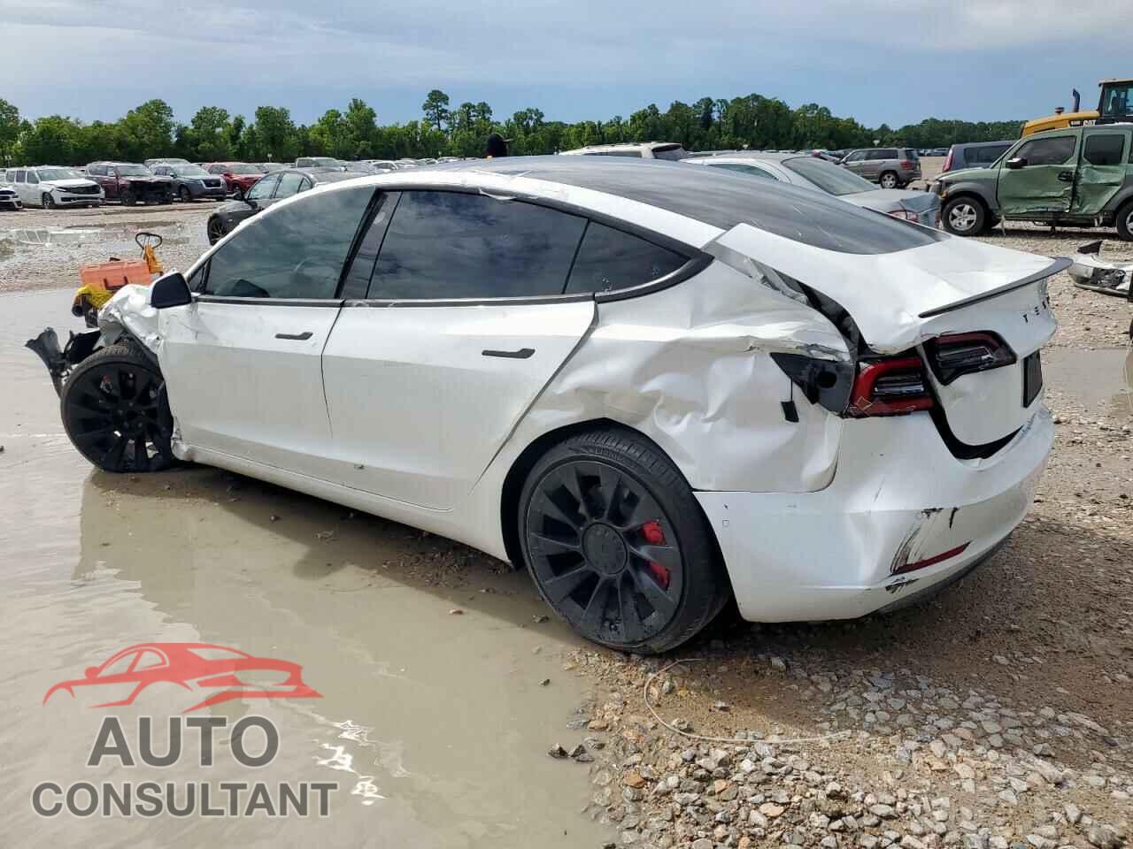 TESLA MODEL 3 2020 - 5YJ3E1EA4LF737357