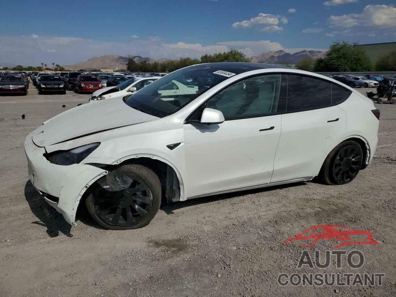 TESLA MODEL Y 2024 - 7SAYGDEE8RF125968