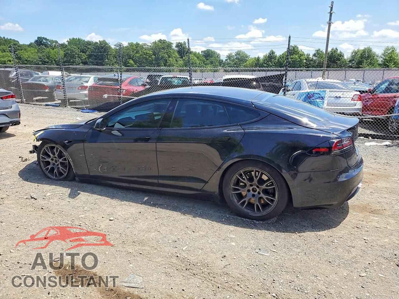 TESLA MODEL S 2023 - 5YJSA1E53PF502948