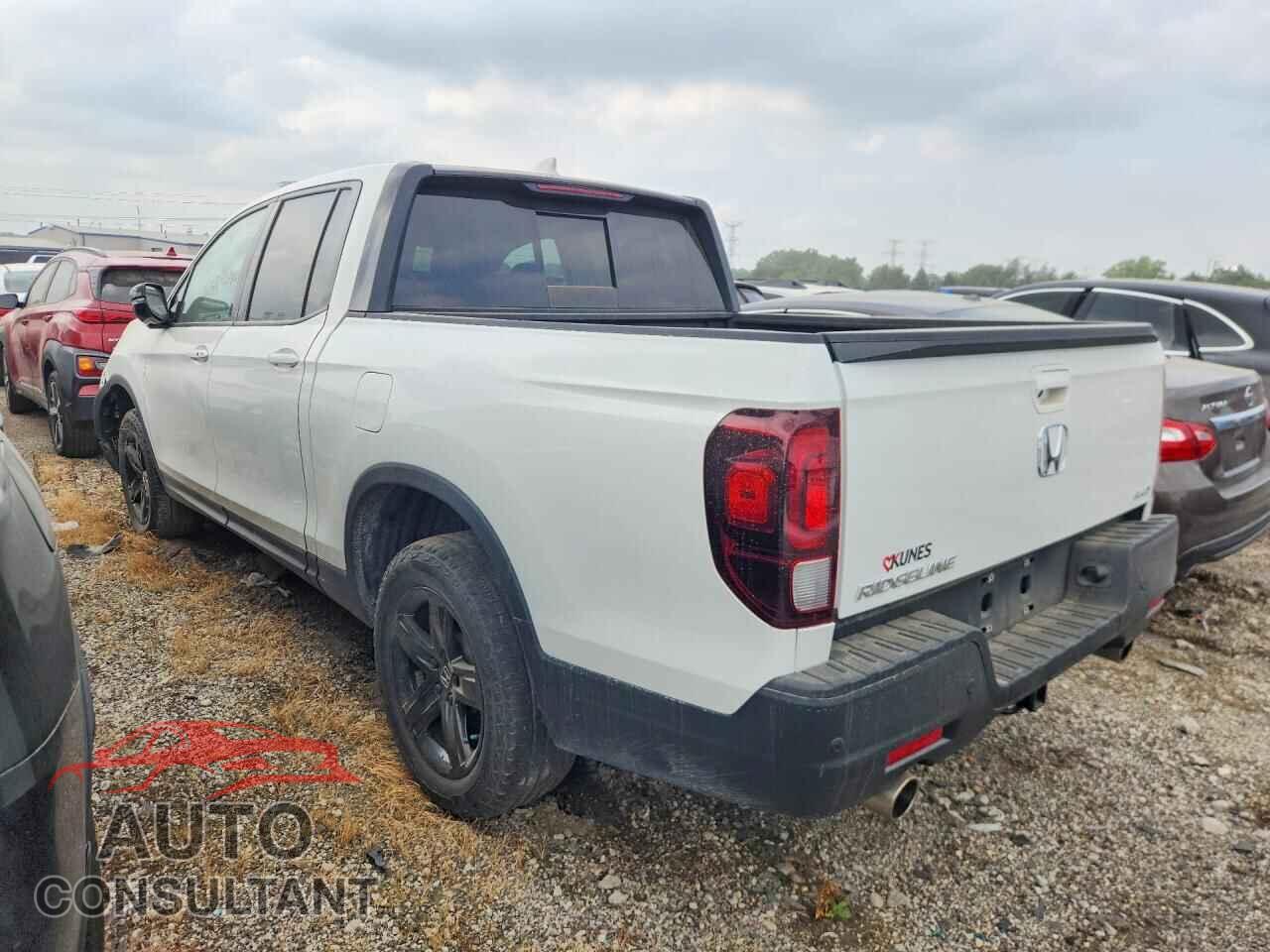 HONDA RIDGELINE 2023 - 5FPYK3F80PB020599