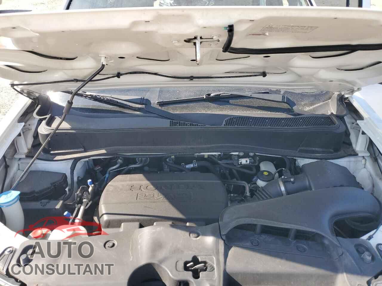 HONDA PILOT 2014 - 5FNYF4H5XEB028471