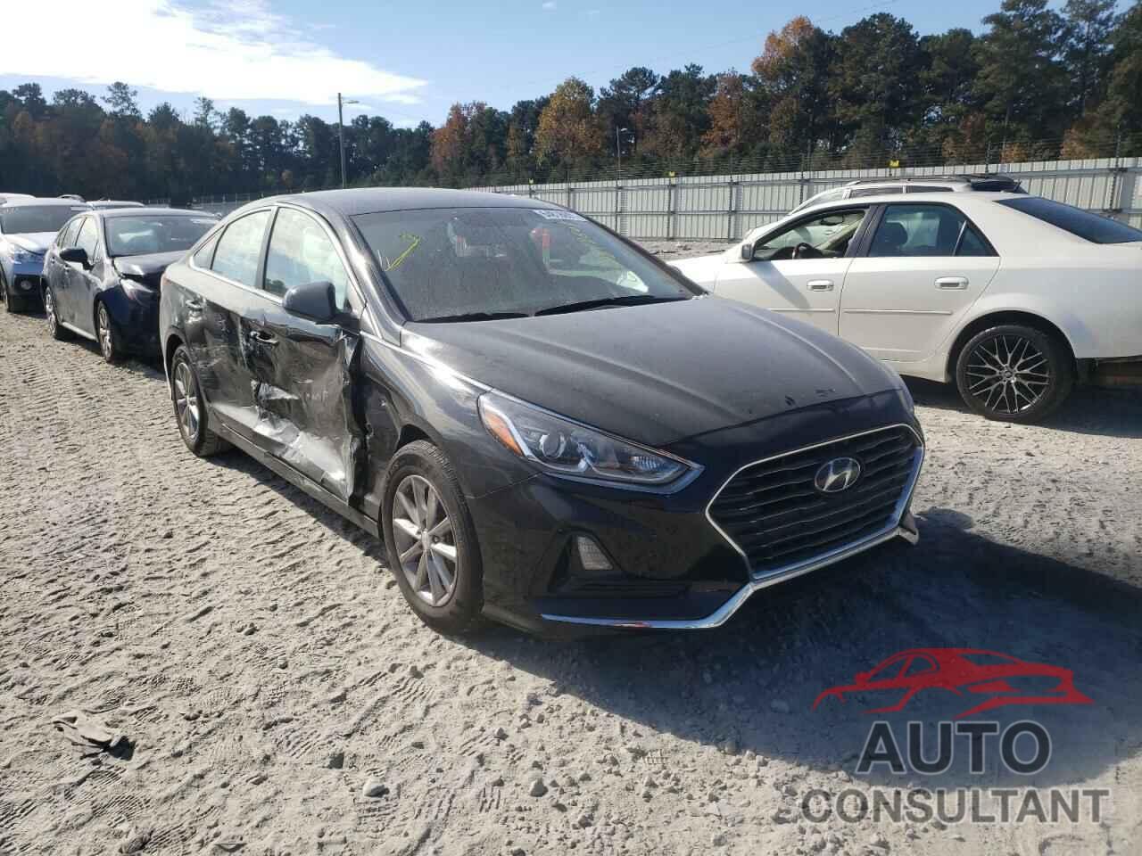 HYUNDAI SONATA 2019 - 5NPE24AF0KH788309