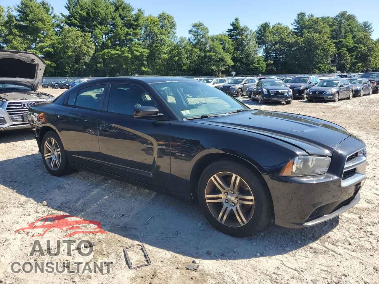 DODGE CHARGER 2013 - 2C3CDXCT8DH701357