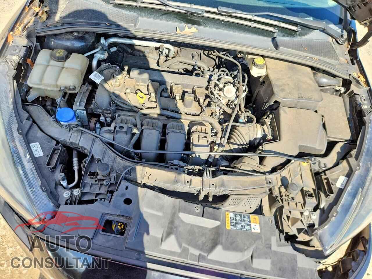 FORD FOCUS 2017 - 1FADP3H23HL252491