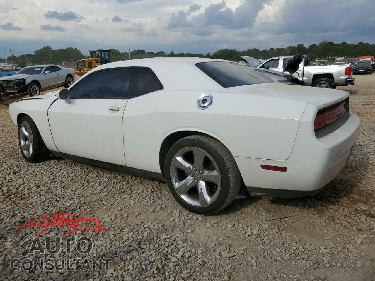 DODGE CHALLENGER 2013 - 2C3CDYAG3DH517830