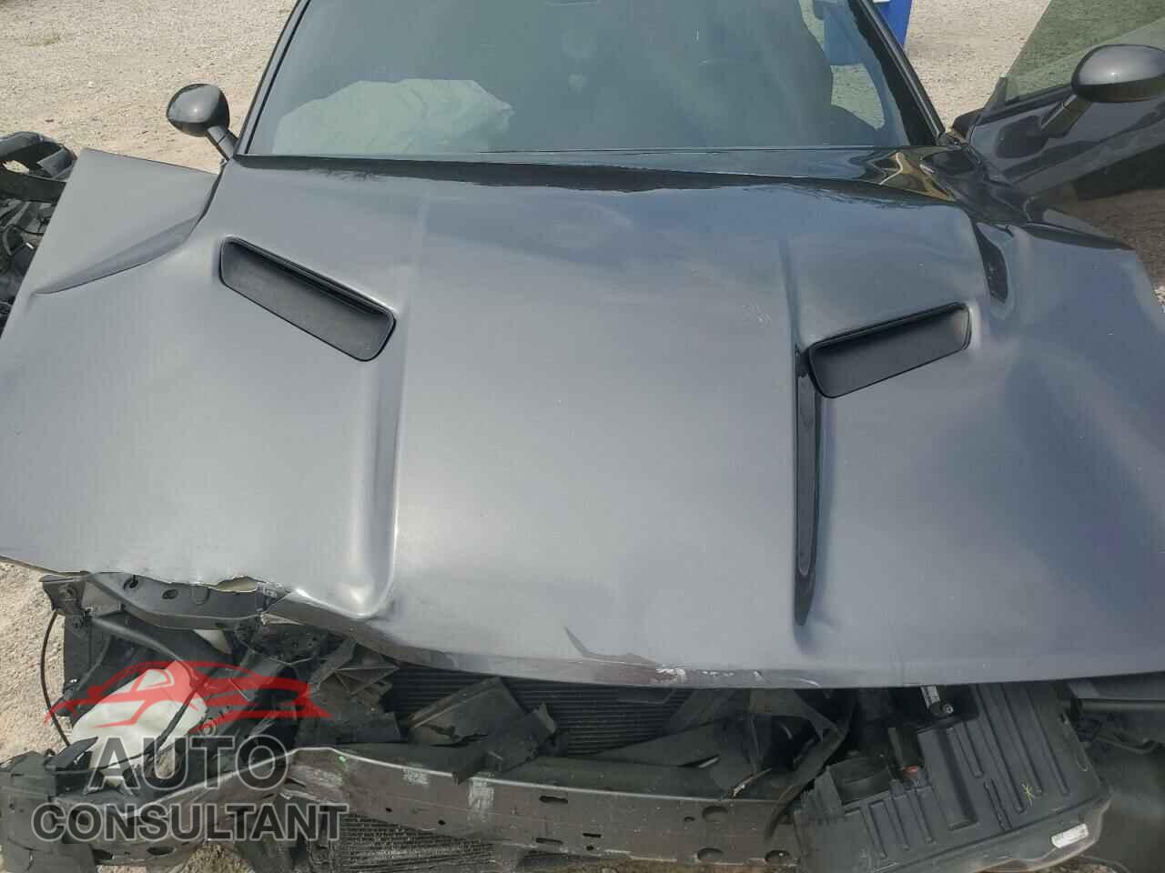 DODGE CHALLENGER 2019 - 2C3CDZAG6KH534690