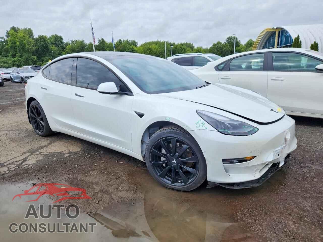 TESLA MODEL 3 2021 - 5YJ3E1EA3MF043812