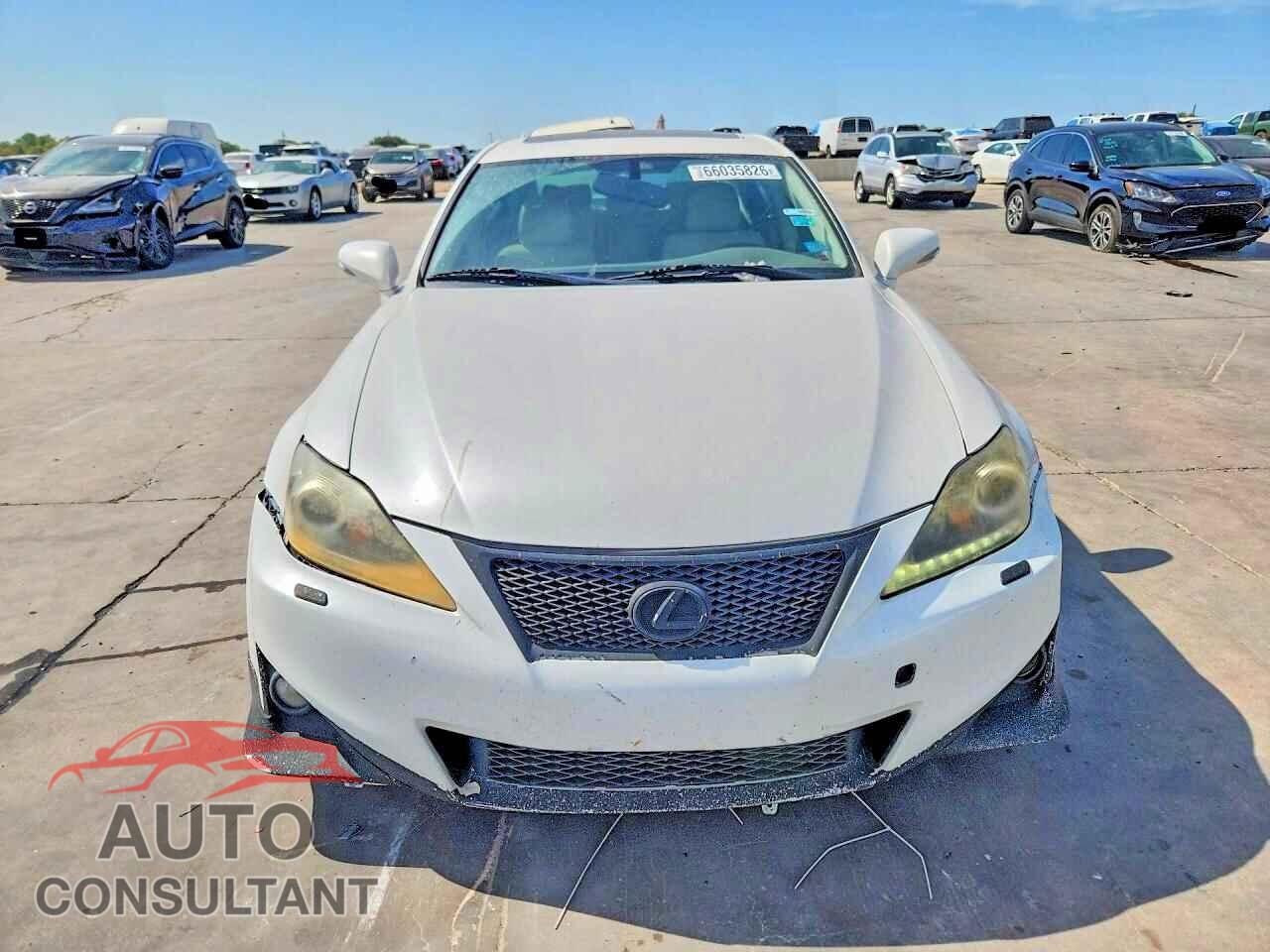 LEXUS IS 2013 - JTHBF5C23D5186951