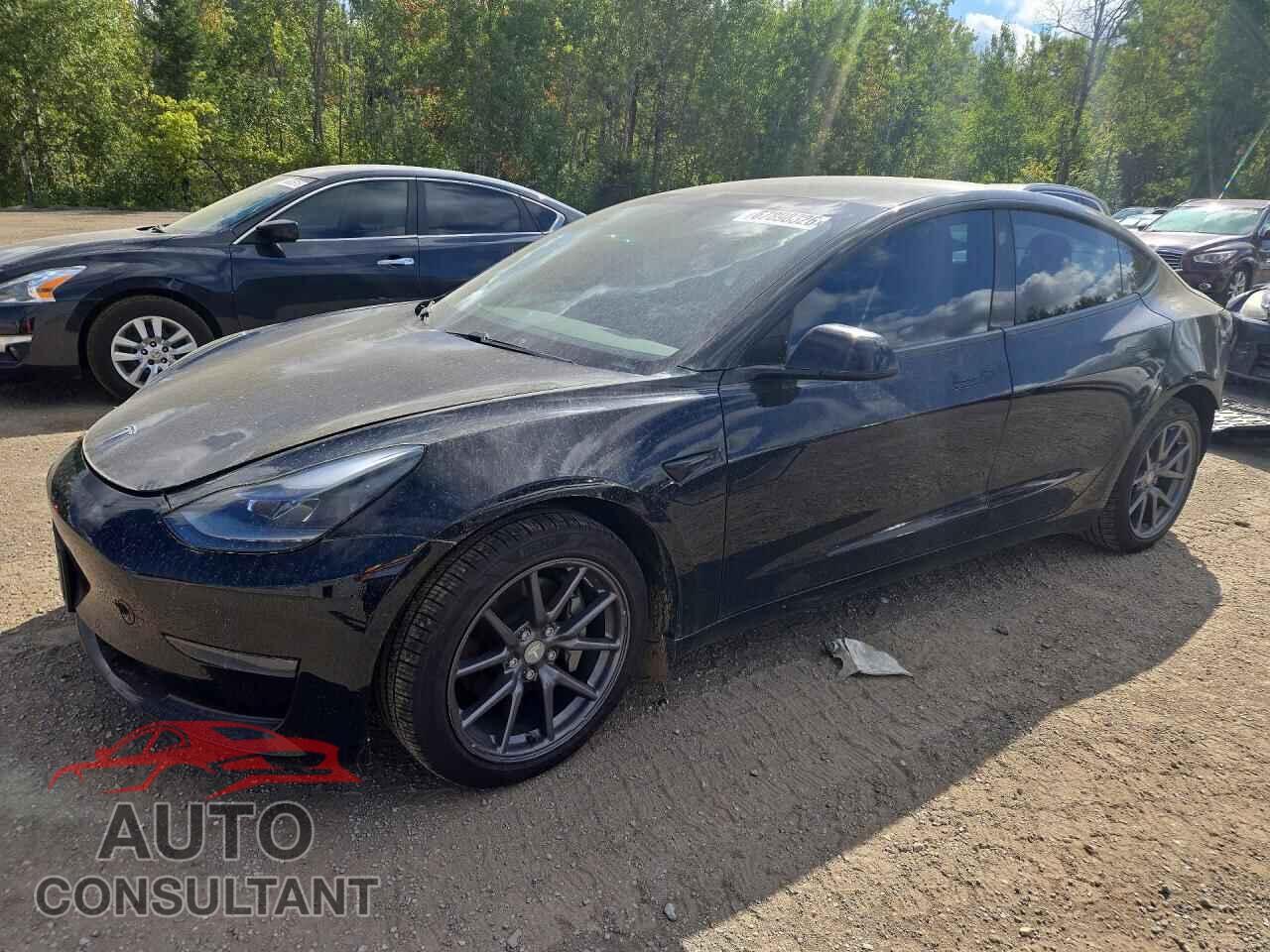 TESLA MODEL 3 2021 - 5YJ3E1EA1MF973031