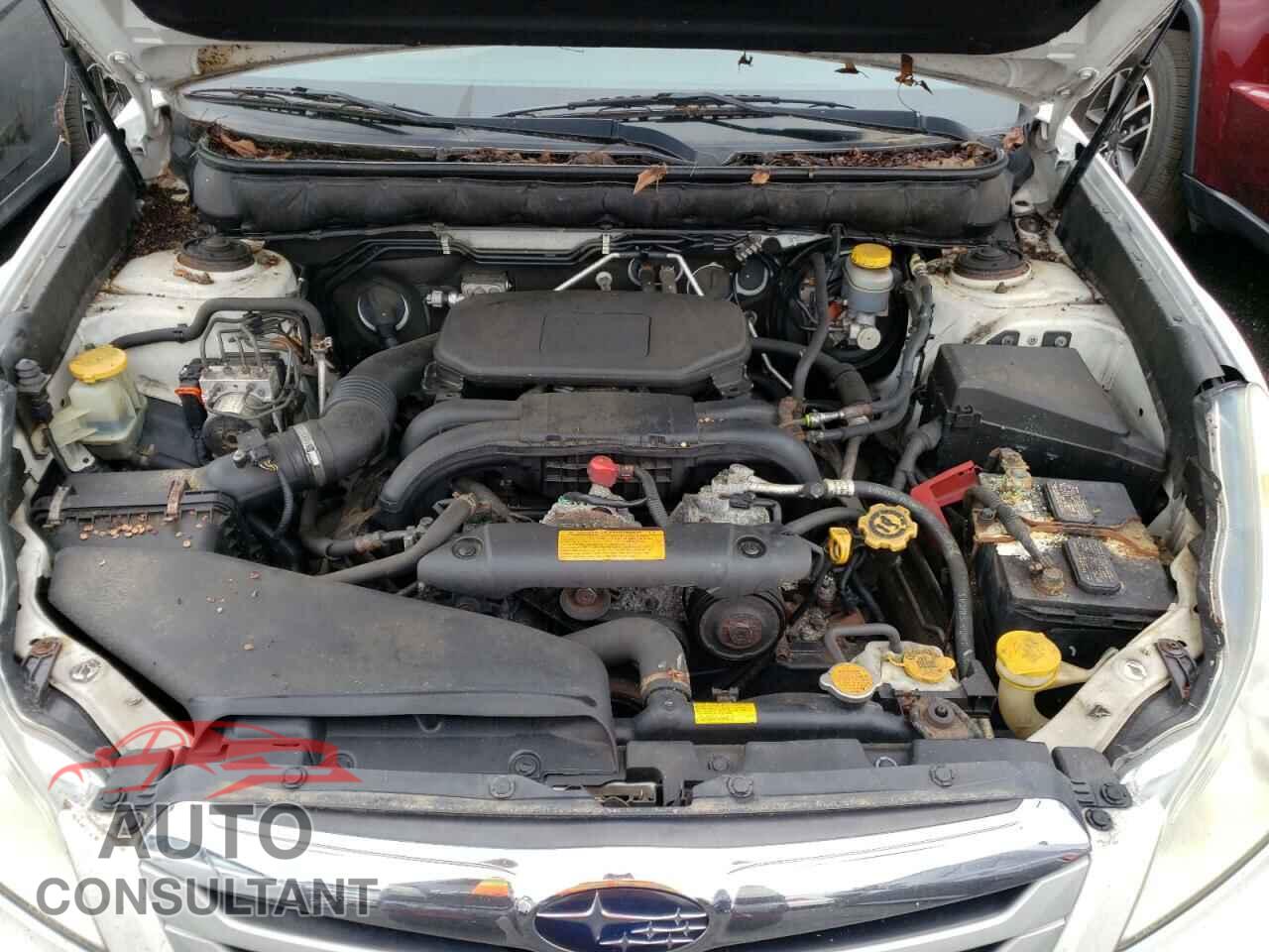 SUBARU OUTBACK 2011 - 4S4BRBLC8B3321491