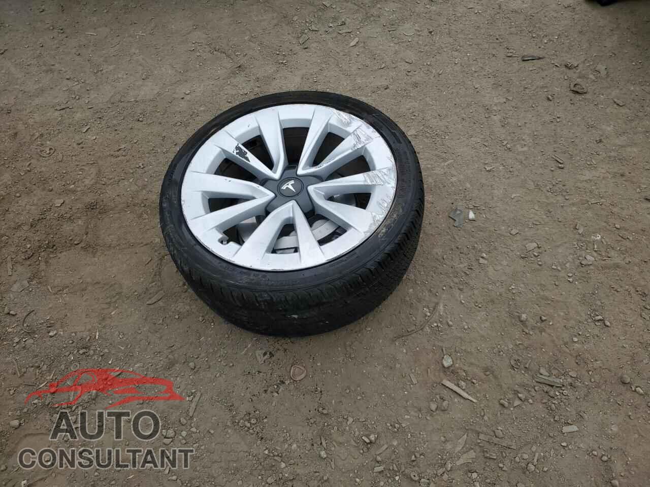 TESLA MODEL 3 2019 - 5YJ3E1EA5KF302278