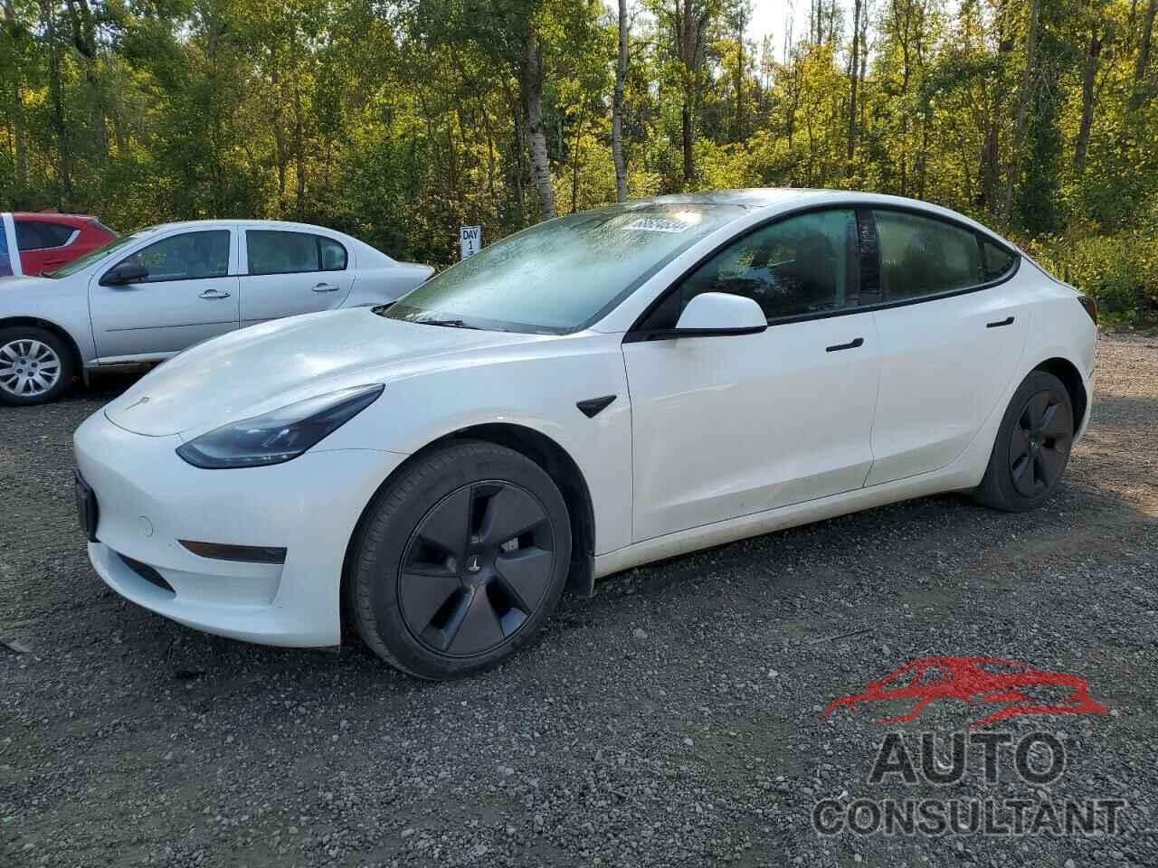 TESLA MODEL 3 2023 - 5YJ3E1EA7PF499025