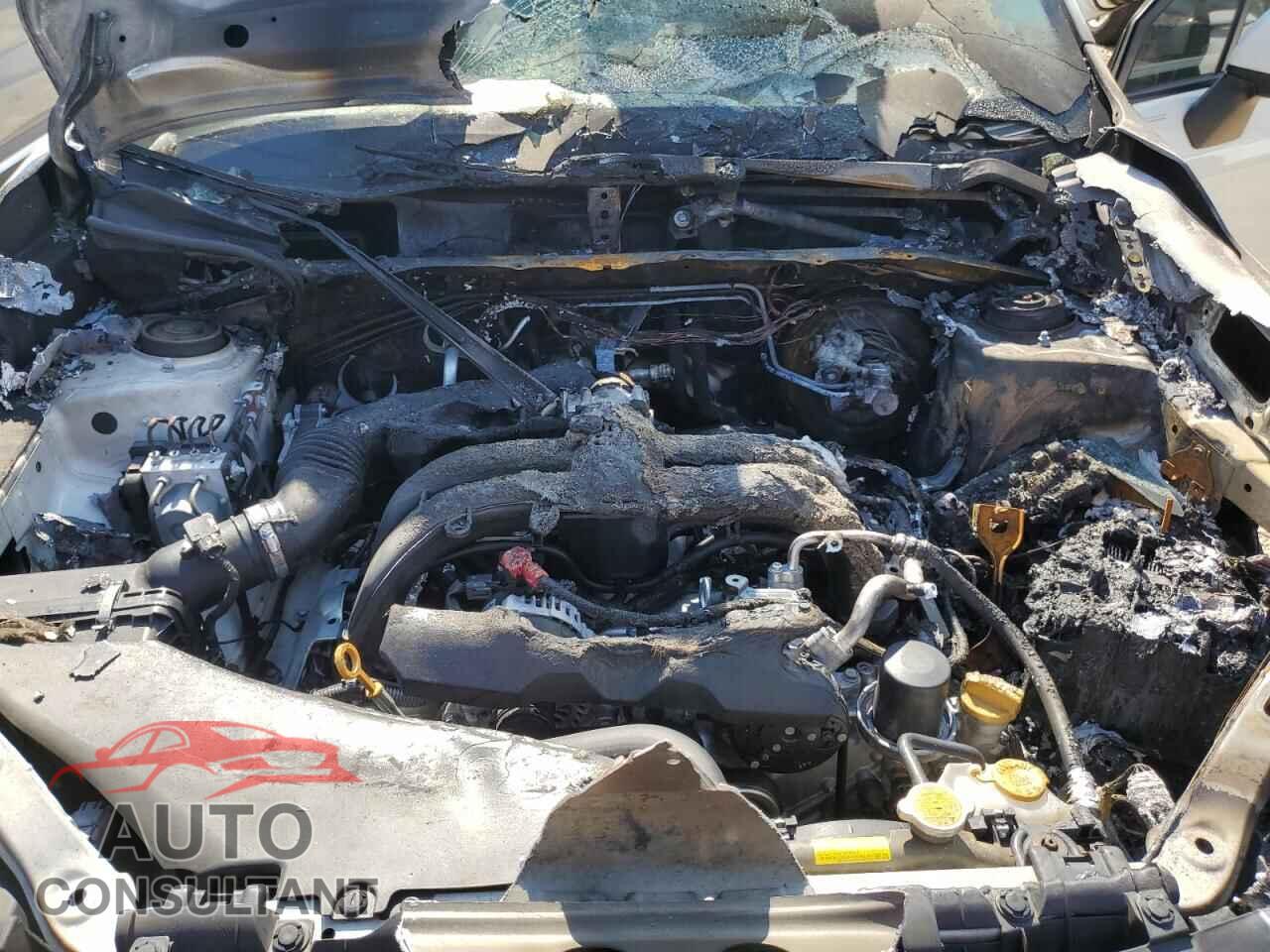SUBARU FORESTER 2017 - JF2SJAEC5HH414601